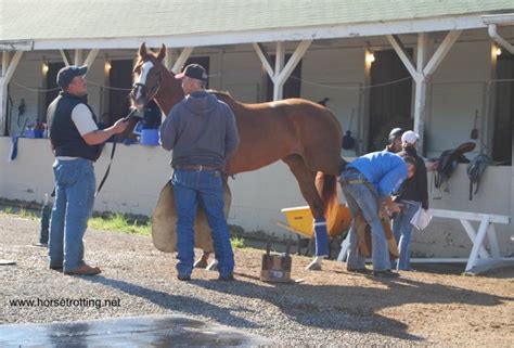 churchill downs backside tours